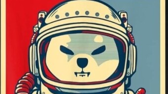 BUYING MORE SHIB, Bobcat 300 syncing...Read amazing article about NFT game I would actually see value in. Dr Who!! BIPOLAR TRADING