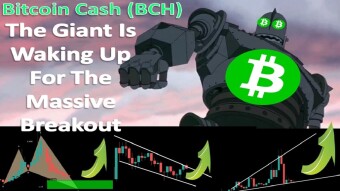 Bitcoin Cash (BCH) | The Giant Is Waking Up For The Massive Breakout