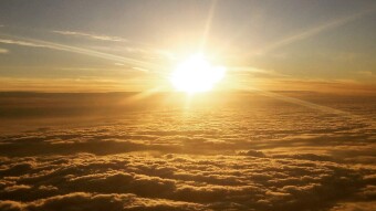 Whatever It Takes to Be Free, Fly High & Have Fun
