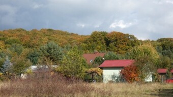 A successful trip to the forests in the Kraków-Częstochowa Jura. Lots of mushrooms and a new friend :) - My Actifit Report Card: October 6 2022
