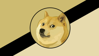 After making millions with Dogecoin, Goldman Sachs banker quit