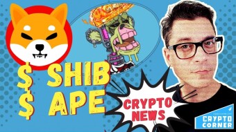 ApeCoin Airdrop | SHIB Whale Buys Billions of Tokens | 1 Billion XRP Grant...