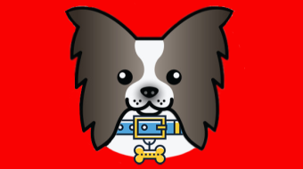 Check out Papillon, the multi-function token of the future!