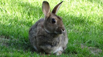 Stories behind a photo #6. Down the rabbit hole