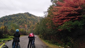 Autumn Came Again and Nature Became Colorful
