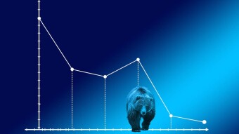 Are you ready for a bear year?