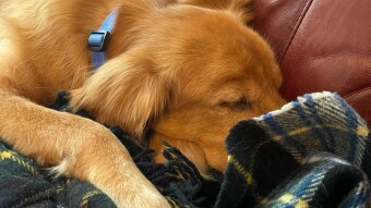 Today I Lost My Best Friend