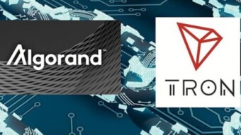 ALGORAND VS TRON