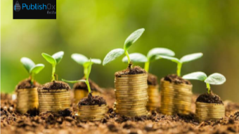 WHY YOUR EARNINGS IN PUBLISHOX FLUCTUATES (BEGINNER'S TIP).