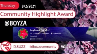 D.Buzz Community Highlight: @boyza