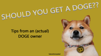 Is (actual) DOGE a Smart Investment? (Is Owning a Shiba for you)