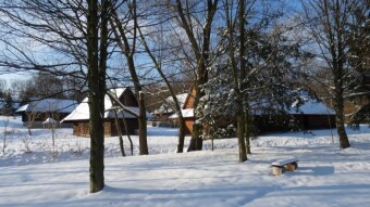 Today the weather is like in March, unpleasant and windy, so I use photos from a few days ago - My Actifit Report Card: January 27 2024