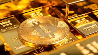 Bitcoin halving: my All-In Journey!
