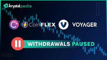 The State Of Centralised Lending Crypto Platforms (8 Analysed)