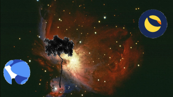 My best of ecosystem  : TERRA ($LUNA)