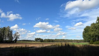 Still in the countryside - it's beautiful - My Actifit Report Card: September 17, 2025