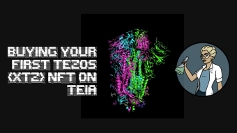 Buying Your First Tezos (XTZ) NFT on Teia