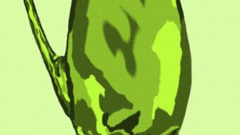 Green Pitcher Vase