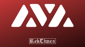 A Look into the Avalanche (AVAX) Network