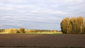 Today is the last day of Lublin's lazy days - My Actifit Report Card: October 1, 2024