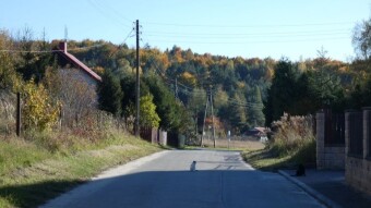 Training changes. Today the first walks and runs - My Actifit Report Card: November 18, 2024
