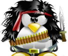 LPIC -  Linux Professional Institute Certification Study Guide - Shell and uname command