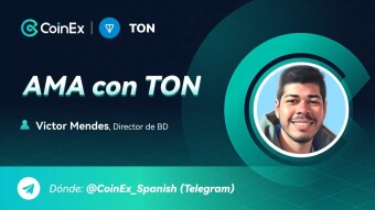 Resumen del AMA con TON