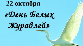 #♞ 22  октября - праздники и исторические события дня 🐇