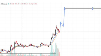 BITCOIN DROPPS TO $103K AS PRIVACY COINS { ZEC AND DASH} KEEPS SURGING