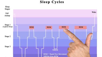 Sleep Cycles