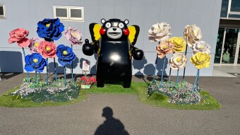 All hail Kumamon