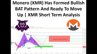 Monero (XMR) Has Formed Bullish BAT Pattern And Ready To Move Up | XMR Short Term Analysis