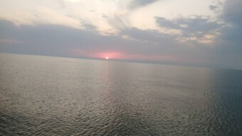 Dark Flying Sea-Bird, Sunrise & Beautiful Rock!