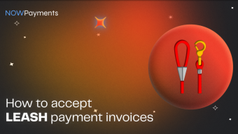 How to Accept LEASH Crypto Payments with Payment Link?