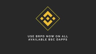 Use your Rapids (RPD) on Binance Smart Chain