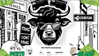 Wall Street Memes (WSM Coin) Analysis - Can It 100x?