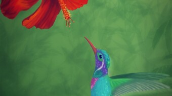 Digital art_2020. Hummingbird