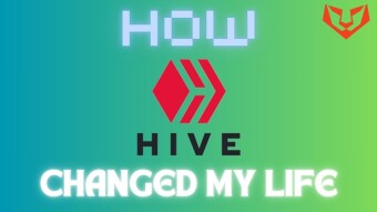 How Hive changed my life forever