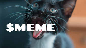 DeFi alive!: the birth of $MEME