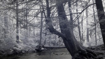 Rope swing over the creek - Infrared Photography