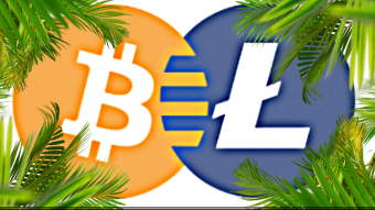 Bitcoin Is For Hodling, Litecoin Is For Spending!