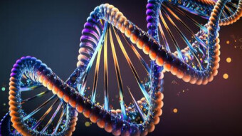 Fixed crypto price bug with Codsworth!!!!