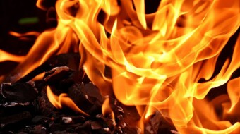 Stellar destroyed 55 Billion of the Total Supply and price jumped 16%.