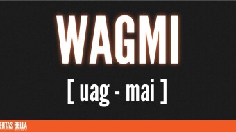 WAGMI: We All Gonna Make It and The True Meaning of Crypto GAINZ