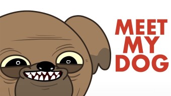 My old dog
