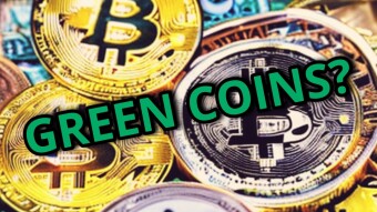 Crypto: It is not the time to eat junk!