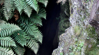 Trip to Fojo das Pombas - Santa Justa Sierra - Valongo | Portugal