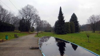 Weather unchanged, humor also - My Actifit Report Card: Derecge 13 2024