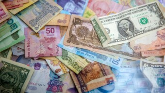 Study; Why you are more likely to be scammed when it comes to crypto compared to cash