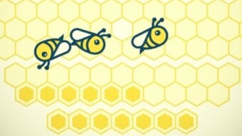 Solved: Honeygain Has Stopped Giving Credits - One Fix